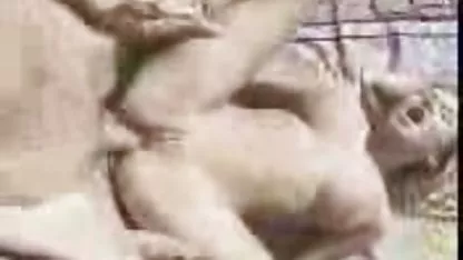 El chico vino solo para verter, y allí su vecino se estaba lavando en la ducha, se levantó para ver sus jugosas tetas, y la perra se desabrochó los pantalones y sacó su polla gorda y comenzó a videos de viejas culonas chupar hasta que ella perdió el conocimiento.